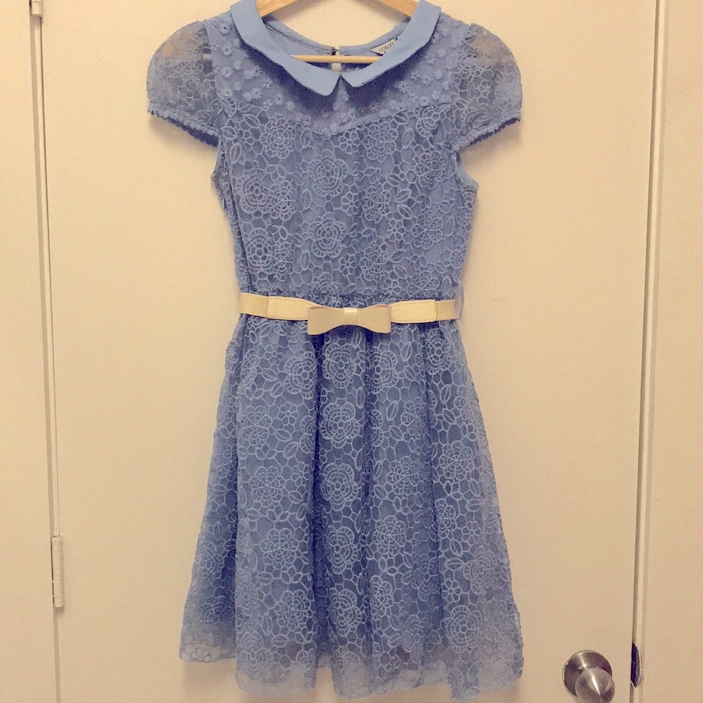 Princess puff sleeve Bouffant Embroidery Dress